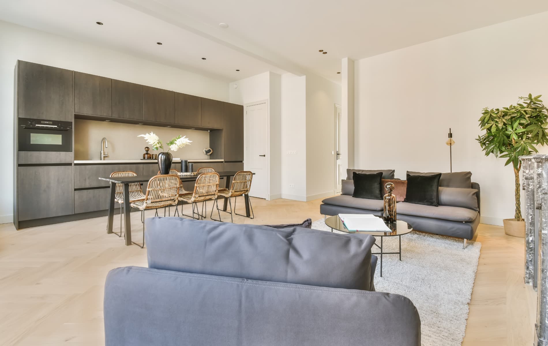 Inside Condo Nick Linetski