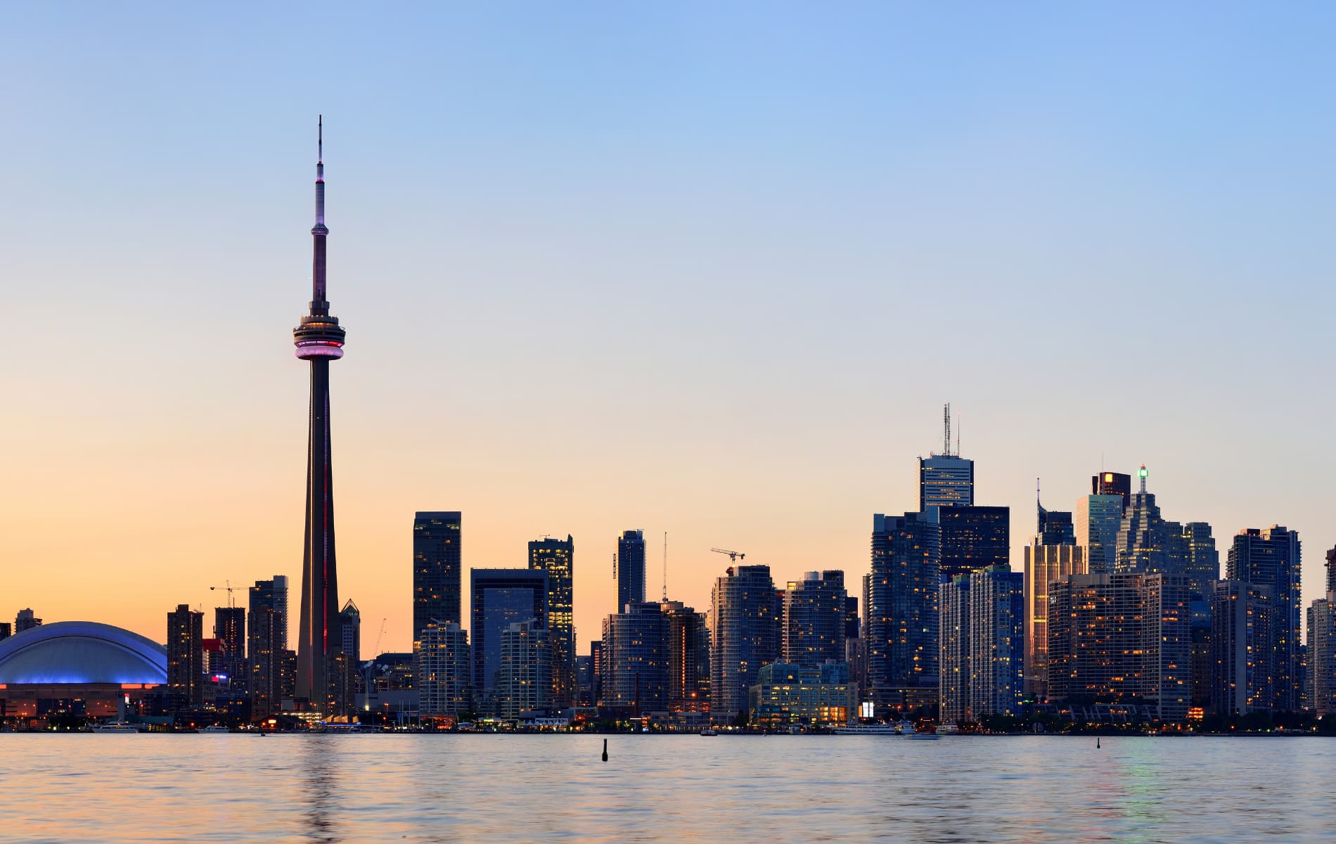 Nick Linetski Realtor